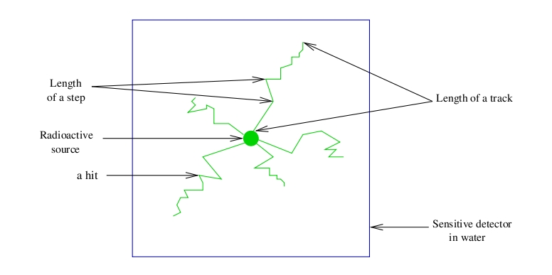 Figure 1: Sensitive_detector