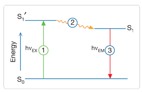 Figure 1: OpticalFluorescence